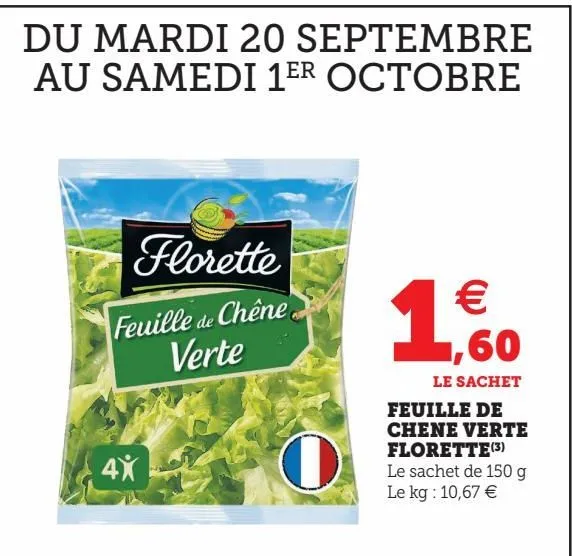 feuille de chene verte florette