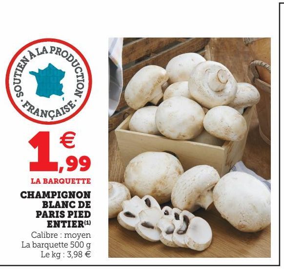 CHAMPIGNON BLANC DE PARIS PIED ENTIER