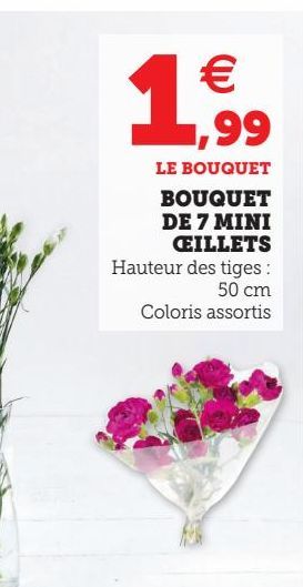 BOUQUET DE 7 MINI ŒILLETS