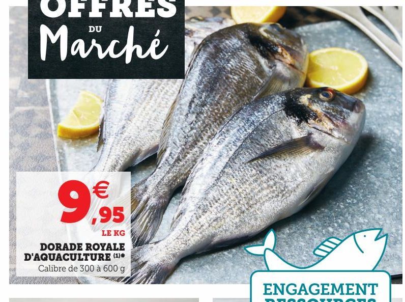 Dorade Royale D´Aquaculture