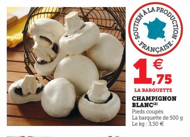 CHAMPIGNON BLANC(2)