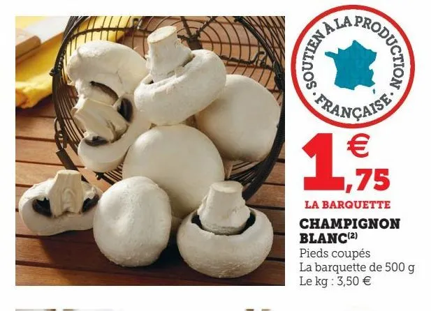 champignon blanc(2)