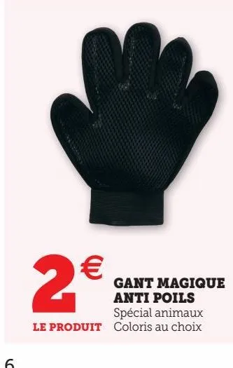 gant magique anti poils