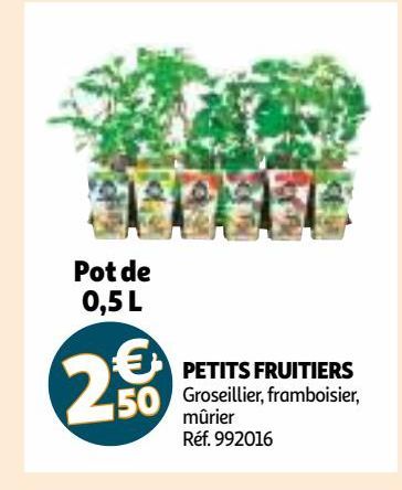 PETITS FRUITIERS