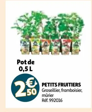 petits fruitiers