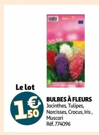 bulbes à fleurs