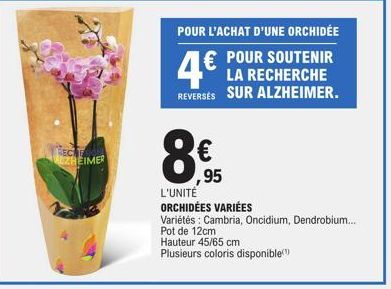 RECE ALZHEIMER  POUR L'ACHAT D'UNE ORCHIDÉE  € POUR SOUTENIR REVERSES SUR ALZHEIMER.  ,95  L'UNITÉ  ORCHIDÉES VARIÉES  Variétés: Cambria, Oncidium, Dendrobium... Pot de 12cm  Hauteur 45/65 cm  Plusieu