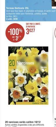SOIT PAR 3 L'UNITÉ: A PARTIR DE  -100% 3827  20 Narcisses  Varies  Calone 10/12 