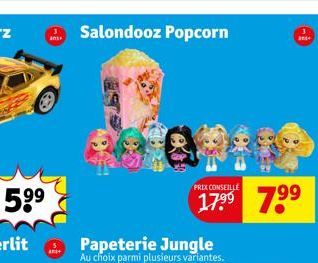 5.⁹⁹  ans  ang+  Salondooz Popcorn  Papeterie Jungle  Au choix parmi plusieurs variantes.  PRIX CONSEILLE  3 and  199 