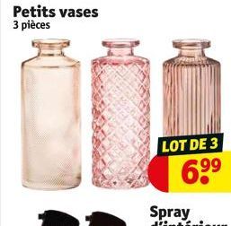 Petits vases 3 pièces  LOT DE 3 99  69⁹ 