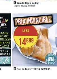 E Dorade Royale ou Bar La pièce de 300g minimum  PRIX INVINCIBLE  LE KG  14699  Filet de Truite TERRE & SAVEURS  GROS CALIBRE 