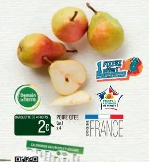 demain terre  barquette de 4 fruits poire qtee cat.1  2€  calendrier des fruitse m  1 fixeez loffart  fruits & lecce  de france  france 