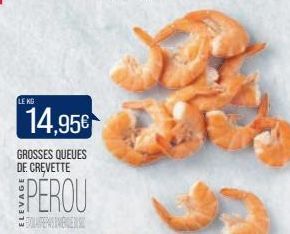 LE KG  14,95€  GROSSES QUEUES DE CREVETTE  PEROU  FLERE 