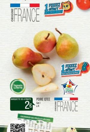 FRANCE  Demain Terre  BARQUETTE DE 4 FRUITS POIRE QTEE Cat.1  2€  FIXEEZ PORT  CALENDRIER DES FRUITSET LUM  00  CELEBRNY  1 FIXEEZ  Loffart  Fachg  FRUITS LEGUMES  DE FRANCE  FRANCE 