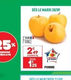 dès le mardi 20/09  orgne  france  249  lesachete  s  125  pomme  pommes in france 