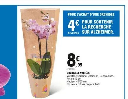 recher alzheimer  pour l'achat d'une orchidée  4€  € pour soutenir la recherche reversés sur alzheimer.  ,95  l'unité  orchidées variées  variétés: cambria, oncidium, dendrobium.... pot de 12 cm  haut