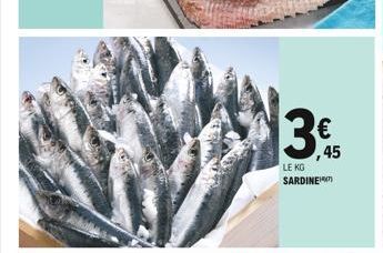 3  ,45  LE KG SARDINE 