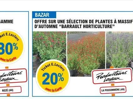 reze (44)  bazar  offre sur une sélection de plantes à massif d'automne "barrault horticulture"  et e.leclerc  ticket e  producteurs locaux  la possonnière (49) 