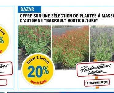 bazar  offre sur une sélection de plantes à massif d'automne "barrault horticulture"  et e.leclerc  ticket e  producteurs locaux  la possonnière (49) 