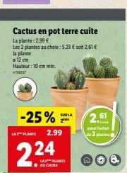 la plante  o 12 cm  Cactus en pot terre cuite  La plante: 2,99 €  Les 2 plantes au choix: 5,23 € soit 2,61 €  Hauteur: 10 cm min. 54257  -25%  SUB LA  2.99  2,61  pracht 2 plant  Da 