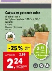 la plante  o 12 cm  cactus en pot terre cuite  la plante: 2,99 €  les 2 plantes au choix: 5,23 € soit 2,61 €  hauteur: 10 cm min. 54257  -25%  sub la  2.99  2,61  pracht 2 plant  da 