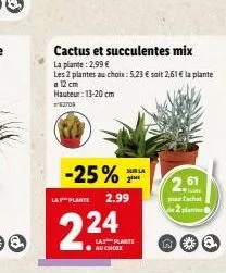 cactus et succulentes mix la plante: 2,99 €  les 2 plantes au choix: 5,23 € soit 2.61 € la plante 12 cm hauteur: 13-20 cm  2703  -25% sur la  2ime  lay plante  2.24  2.99  la plante ●aucholx  2,61  to