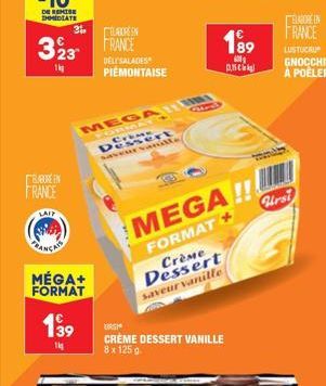 BAUREIN FRANCE  LAIT  CANCH  31,  LABOREN  323 FRANCE  1kg  MÉGA+  FORMAT  139  114  DELSALADES PIEMONTAISE  MEGAI FORMA  Dessert saveur vanille  URSI  CRÈME DESSERT VANILLE 8x 125 g  189  600g  0,15 