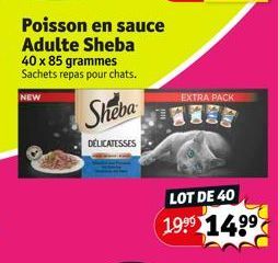 poisson Sheba