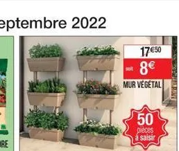 17€50  sot 8€  mur vegetal  50  pièces á saisir 