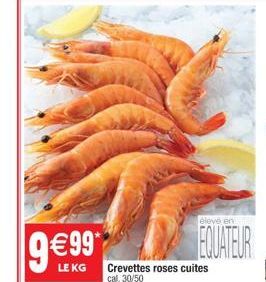 9€99  LE KG Crevettes roses cuites cal. 30/50  élevé en  EQUATEUR  