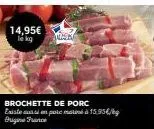 14,95€ le kg  brochette de porc existe aussi en potem 15,95 origine france  mask 