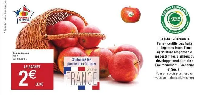 pommes  de france  pomme antares cat 1  cal 170/220 g  le sachet  2€  le kg  soutenons les producteurs français origine  france  produ  contré par un  &duit  demain laterre  organisme  le label «demai
