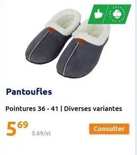 pantoufles 