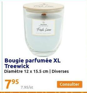 THE WICK  Bougie parfumée XL Treewick  Diamètre 12 x 15.5 cm | Diverses  Consulter 