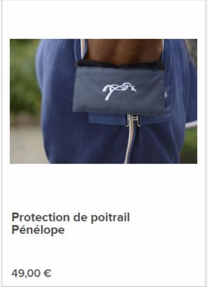 Ngân  Protection de poitrail Pénélope  49,00 €  offre sur Horse Wood