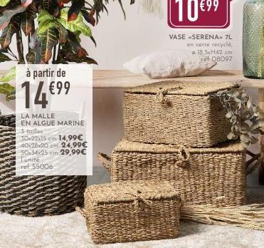 à partir de  14€⁹⁹  LA MALLE  EN ALGUE MARINE 3 talles  30x22x15 cm 14,99€  40x28x20 cm 24,99€ 50x34x25 cm 29,99€ l'unité  ref 55006  d  10€⁹9  VASE SERENA» 7L en verre recyclé,  a 18.5xH42 cm el 0809