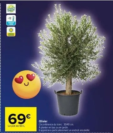 satis  -12  69€  le pot de 50 l  olivier  circonférence du tronc: 30/40 cm. a planter en bac ou en jardin  il appréciera particulièrement un endroit ensoleil 
