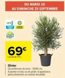1rc  du mardi 20  au dimanche 25 septembre  satsac mour  69€  lepot de 70l  olivier  circonférence du tronc:30/40 cm a planter en bac ou en jardin. il appréciera particulièrement un endroit ensoleillé