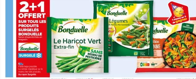 2+1  OFFERT  SUR TOUS LES PRODUITS SURGELÉS BONDUELLE Selon disponibilités en magasin  Bonduelle  SURGELÉ  Panachage possible.  La remise s'applique sur le moins cher des produits. Aurayon Surgelés  B