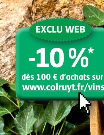 EXCLU WEB 