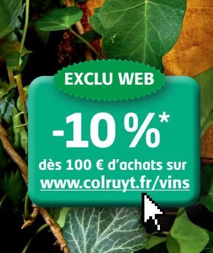 exclu web    -10%* dés 100euro d'achats sur www.colruyt.fr/vins