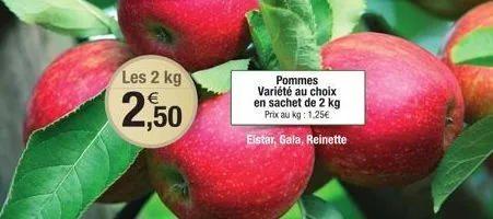 les 2 kg  2,50  pommes variété au choix en sachet de 2 kg  prix au kg: 1,25€  elstar, gala, reinette 