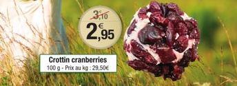 Crottin cranberries 100 g - Prix au kg: 29,50€  3,10  2,95 