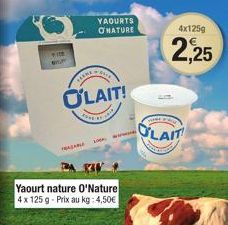 yaourt nature 