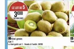 LE LOT DE 5 3600  SOUTDURO L'UNITÉ  Kiwi green  Cat 1  ou kiwi gold cat 1 - Vendu à l'unité : 0€99  