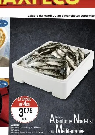 sardines 