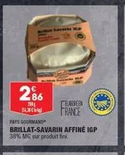 brian severin k  2%  100 пояс  pays gourmand  brillat-savarin affiné igp 38% mg sur produit fini.  baureen  france  c 