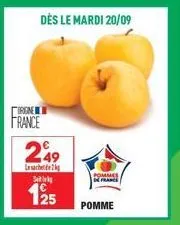dès le mardi 20/09  orgne  france  249  lesachte  s  125  pommes in france  pomme 