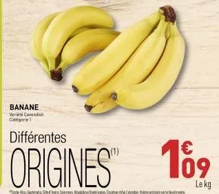 banane  varicavendish catégorie 1  différentes  origines"  ricere. come republic dominica ecuateret calontier  €  109  le kg 