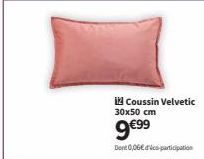 Coussin Velvetic 30x50 cm  9€9⁹9  Dont 0,06 co-participation 